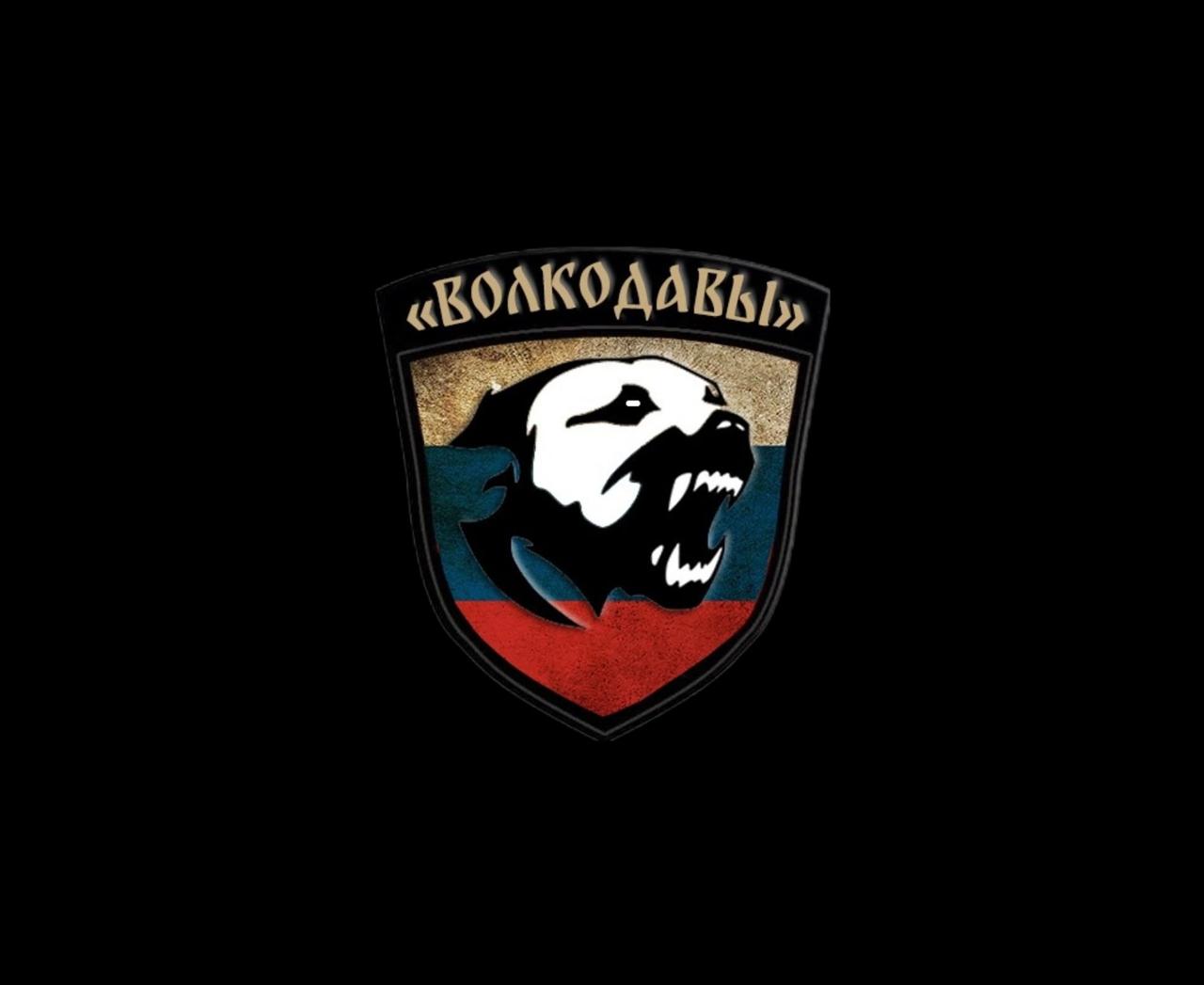 ВССК «Волкодавы»